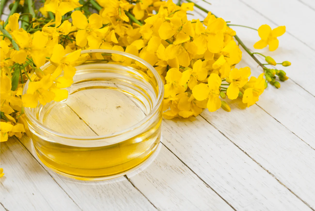Canola flowers beside a bowl of oil